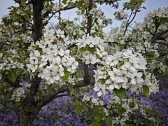 -江苏三台山国家森林公园