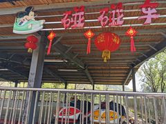 -杭州少年儿童公园