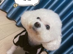 -哆趣宠物医院·眼科·内镜·急重症转诊中心(上海店)