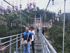 -九龙江国家森林公园