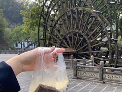 -蔺大妈松花糕