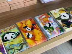 -熊猫邮局(少城店)