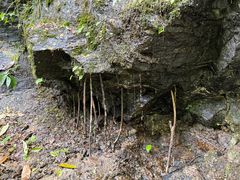 -石台牯牛降景区
