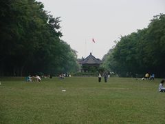 -中山大学学者灵芝(园南路店)