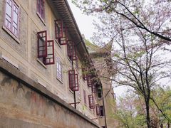 -武汉大学-樱园