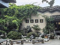 -富春茶社(国庆路店)