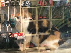 -SPECIALIZED闪电自行车(建国西路店)