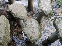 -牛背梁国家森林公园