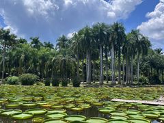 -中国科学院西双版纳热带植物园