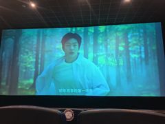-潇湘国际影城(天马店)