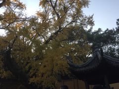 -无锡惠山寺