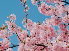 -上海辰山植物园
