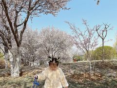 -济南国际园博园