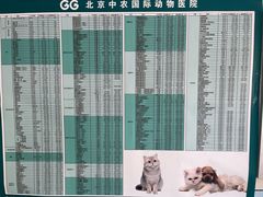 -中农国际动物医院24小时·猫科·骨科·急重症中心
