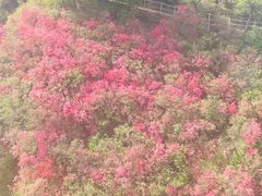 -木兰云雾山
