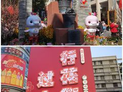 -越秀西湖花市(广州城市广场花卉店)