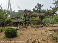 -西霞口神雕山野生动物世界