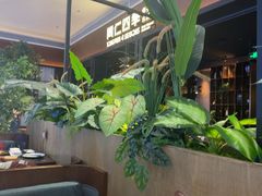 -同仁四季椰子鸡(宝安壹方城店)