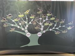 -北京周口店北京人遗址博物馆