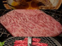 -火浪壹 by tigergrill(33小镇店)