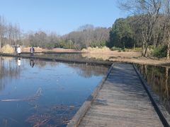 -长广溪湿地公园