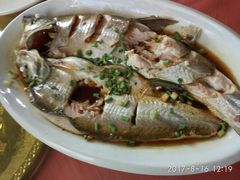 清蒸朋鱼-晓琦农家菜馆·地道农家菜