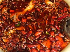 -蜀香坊(Box Hill)