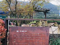 -树山生态村
