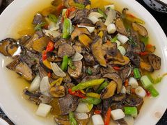 见手青-草墩罗非鱼庄•野生菌•腊排骨(七星街上段店)