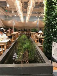 -悦诗风吟innisfree