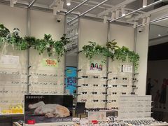 -JINS(上海环球金融中心店)