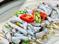 -张家卫·阳江菜·小海鲜(肥婆湾桥店)