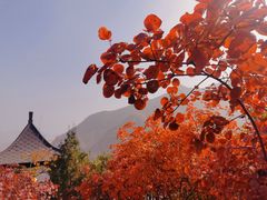 -周口店坡峰岭风景区