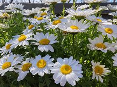 -苦尽酒馆·川菜(鼓楼店)