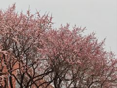 -吉林大学(南岭校区)