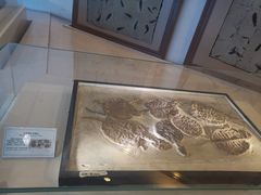 -辽宁古生物博物馆