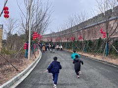 -黄贤森林公园