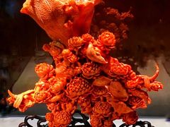 -东海珊瑚博物馆