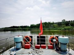 -滕州微山湖红荷湿地景区