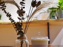 -白日梦奶茶