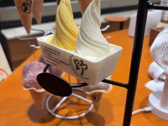 -野人先生现做冰淇淋(北京环宇荟店)