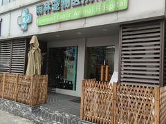 -雨林宠物医院 非犬猫异宠专科