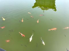 -西安关中民俗艺术博物院