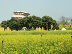 -光明小镇欢乐田园