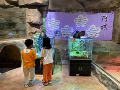 -宝燕乐园(闵行旗舰店)