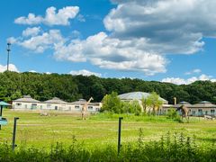 -哈尔滨北方森林动物园