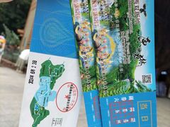 -西双版纳原始森林公园