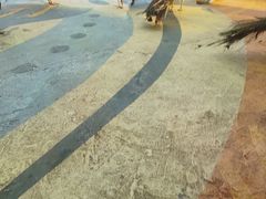 -西双版纳原始森林公园