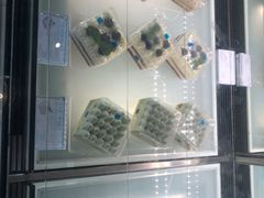 -1Cake壹刻蛋糕(奥体公园味觉艺术馆店)