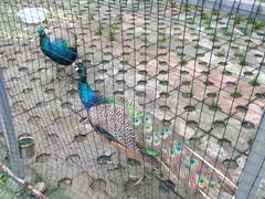 -陶祖圣境风景区